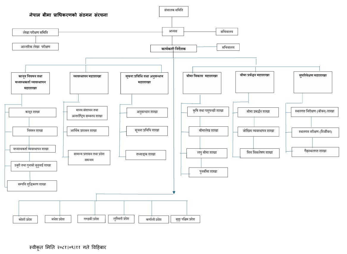 organizational-structure