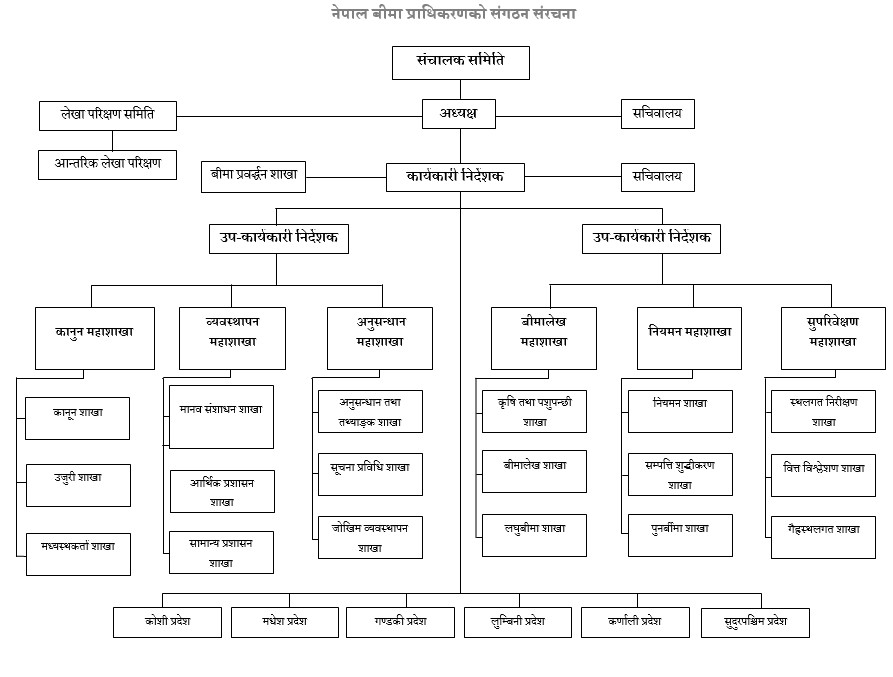 organizational-structure